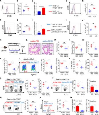 Endothelin-A Receptor Antagonist Alleviates Allergic Airway Inflammation via the Inhibition of ILC2 Function